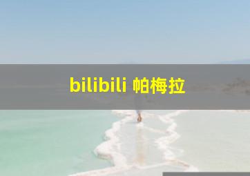 bilibili 帕梅拉